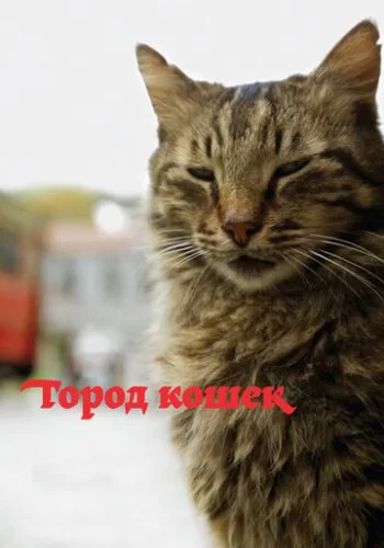 Город кошек 2016 смотреть онлайн фильм