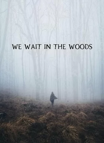Мы поджидаем в лесу 2020 смотреть онлайн фильм
