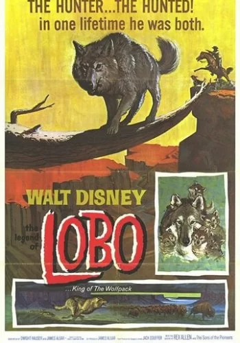 Легенда о Лобо 1962 смотреть онлайн фильм