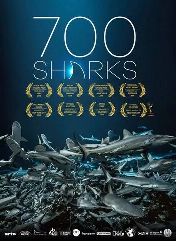700 акул 2019 смотреть онлайн фильм