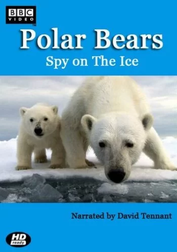 Белый медведь: Шпион во льдах 2011 смотреть онлайн фильм