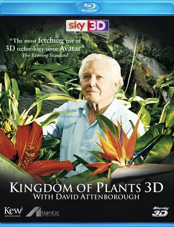 В королевстве растений 2012 смотреть онлайн сериал