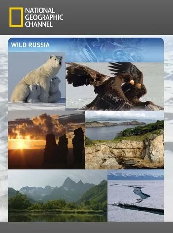 Дикая природа России 2008 смотреть онлайн сериал