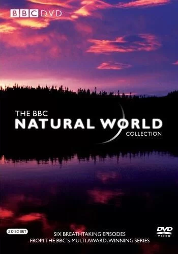BBC: Живой мир 1983 смотреть онлайн сериал