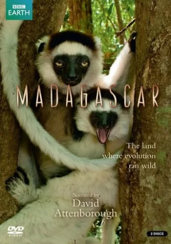BBC: Мадагаскар 2011 смотреть онлайн сериал